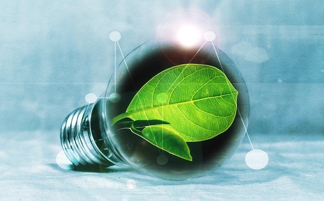 Bright Ideas to Save the Environment | Environmental Rescue Alliance